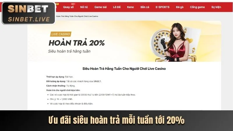 Giới hạn đặt cược và giao dịch